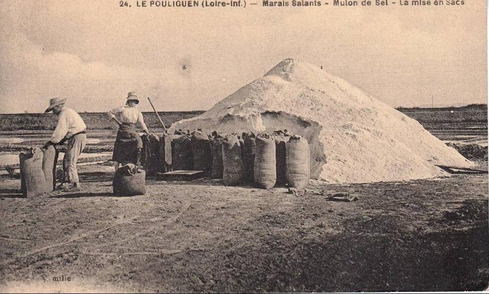 Le Pouliguen - Marais Salants  - Loire-Atlantique