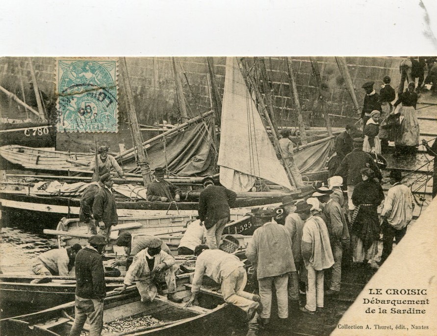 Le Croisic - D�Barquement de la Sardine - Loire-Atlantique