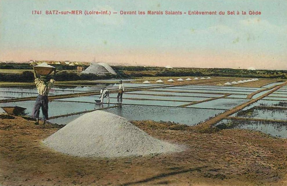 Batz-sur-Mer - Marais Salants - Loire-Atlantique
