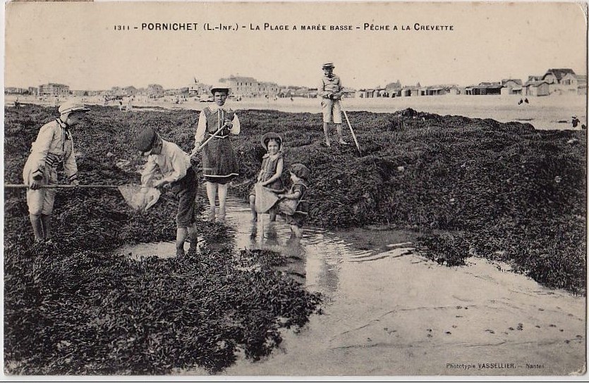 Pornichet - La Plage à Marée basse - Pêche à la Crevette - Loire-Atlantique