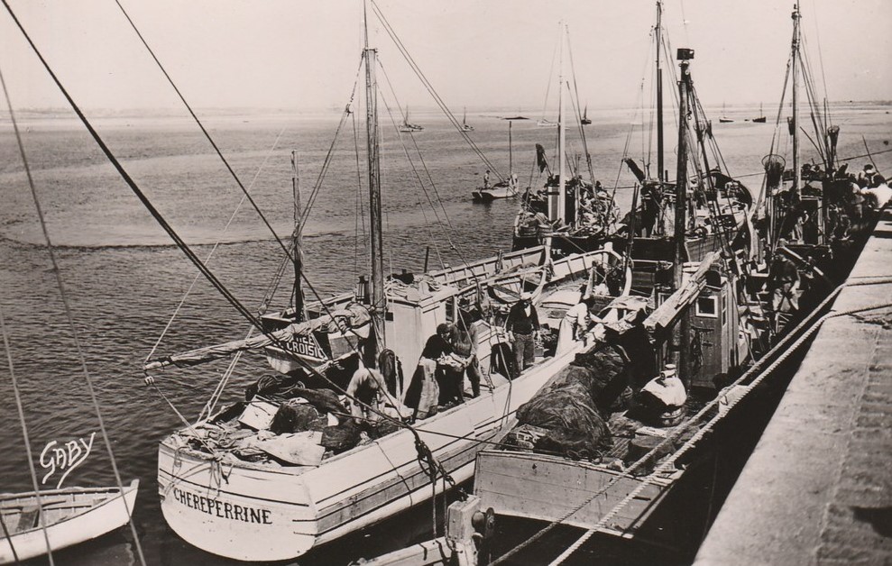Le Croisic - Sardiniers au Port - Loire-Atlantique