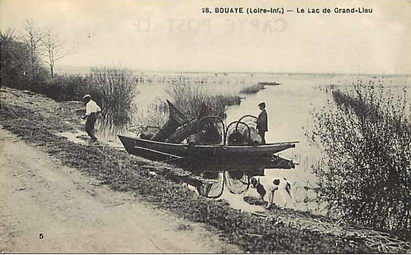 Bouaye - Le lac du Grand lieu  - Loire-Atlantique