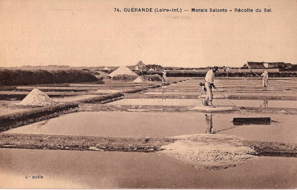 Gu�rande - 1925 Marais Salants - R�colte du Sel - Loire-Atlantique