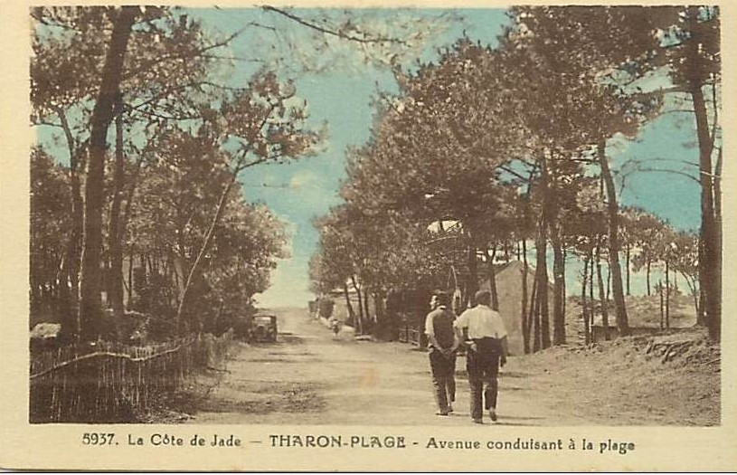 Tharon-Plage - Avenue conduisant � la Plage - Loire-Atlantique