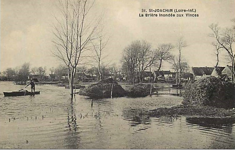 Saint-Joachim - La Brière inondée aux Vinces - Loire-Atlantique