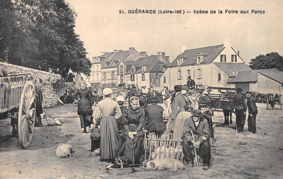 Gu�rande - Sc�ne de la Foire aux Porcs - Loire-Atlantique