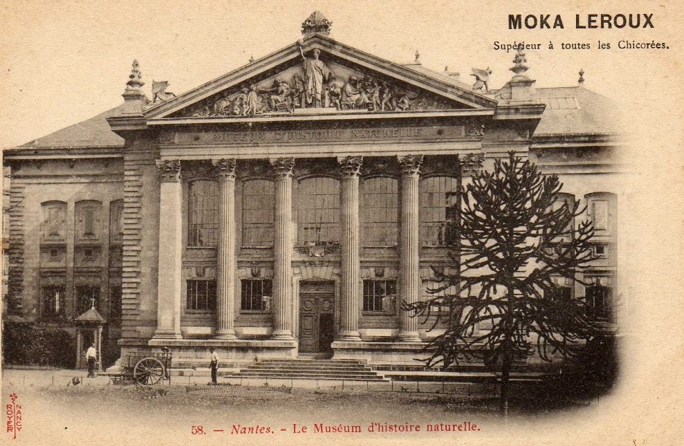 Nantes - Le Mus�e d