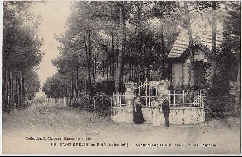 Saint-Brvin-les-Pins - Villa <i>Les Tamaris</i>, Avenue Auguste Brioux - Loire-Atlantique
