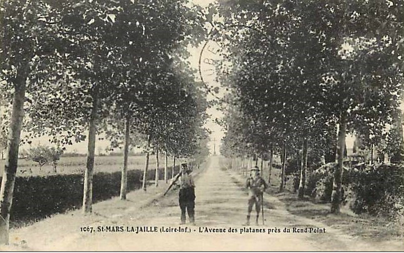 Saint-Mars-la-Jaille - L