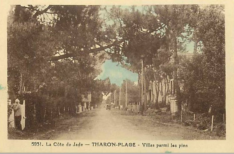 Tharon-Plage - Villas parmi les Pins  - Loire-Atlantique