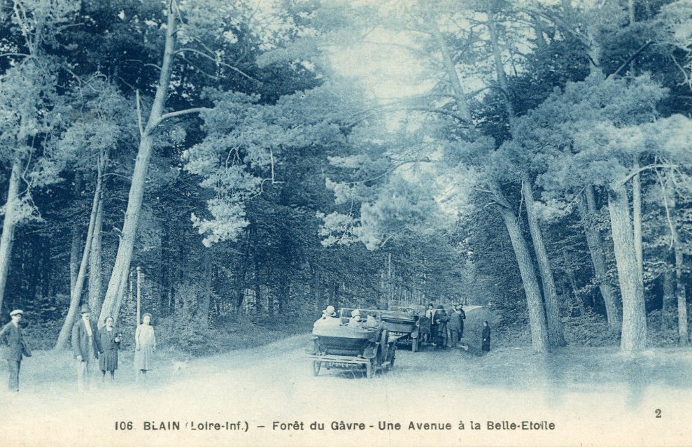 Blain - For�t du G�vre - Avenue de la Belle-Etoile - Loire-Atlantique