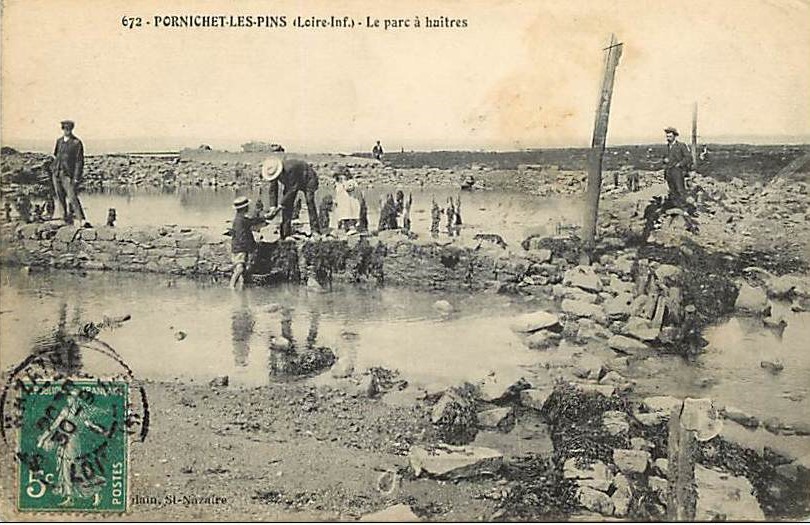 Pornichet-les-Pins - Le Parc à Huitres - Loire-Atlantique