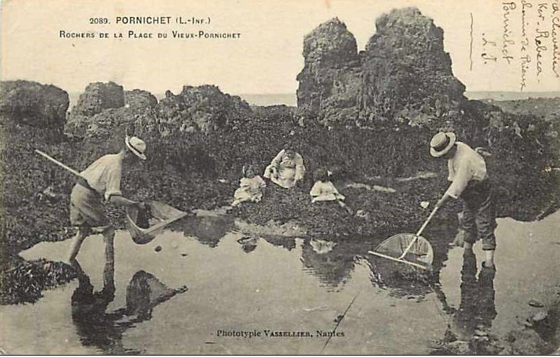 Nantes - Vue panoramique de la Loire - Loire-Atlantique