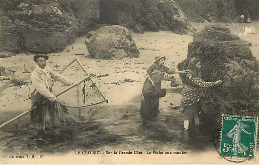 Le Croisic - sur la Grande C�te - La p�che aux moules - Loire-Atlantique