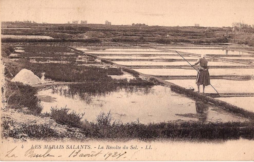 Gu�rande - 1924 - Les Marais Salants - La R�colte du Sel - Loire-Atlantique