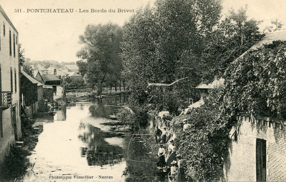 Pont-Ch�teau - Les Bords du Brivet - Loire-Atlantique