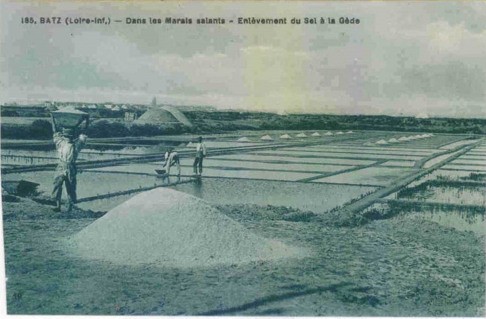 Batz-sur-Mer - Enl�vement du Sel � la G�de - Loire-Atlantique