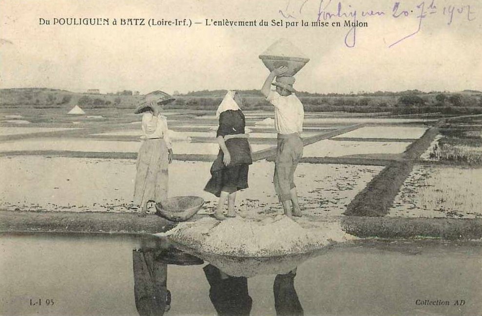 Batz-sur-Mer - Marais Salants - Loire-Atlantique