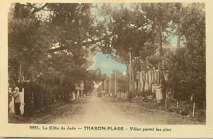 Tharon-Plage - Villas parmi les Pins - Loire-Atlantique