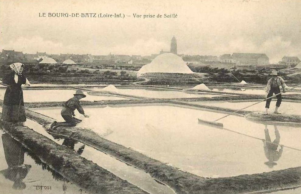 Batz-sur-Mer - Paludiers - Loire-Atlantique