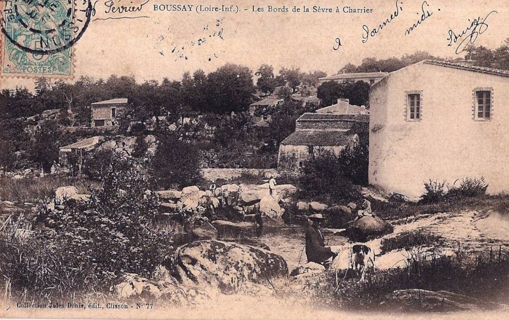 Boussay - Les Bords de la Sèvre à Charrier - Loire-Atlantique