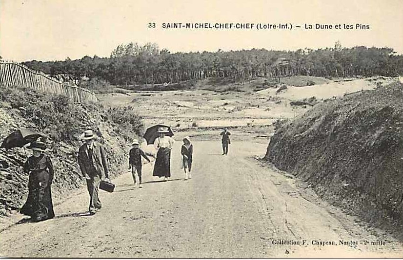 Saint-Michel-Chef-Chef - La dune et les Pins  - Loire-Atlantique