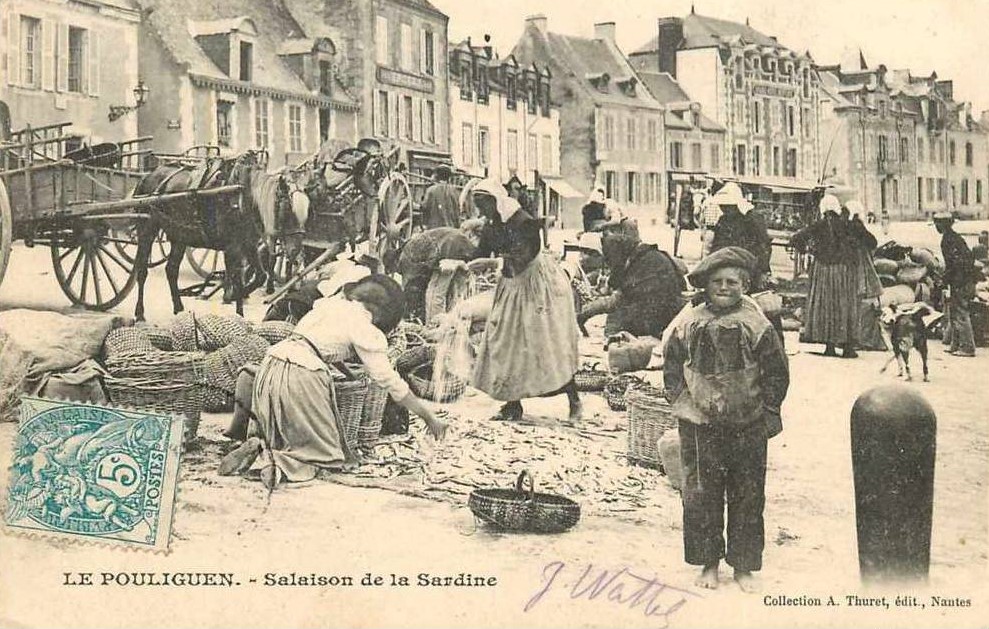 Le Pouliguen - Salaison de la Sardine - Loire-Atlantique