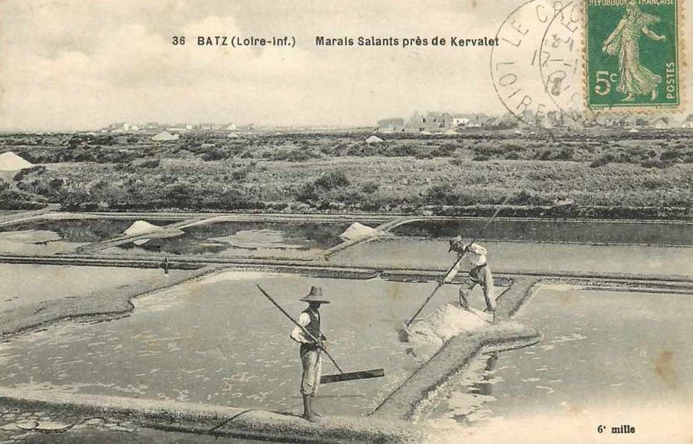 Batz-sur-Mer - Marais Salants - Loire-Atlantique