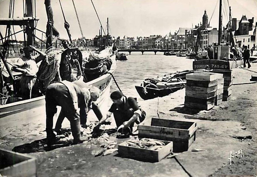 Le Croisic - Vue G�n�rale des Quais et D�Barquement du Poisson - Loire-Atlantique
