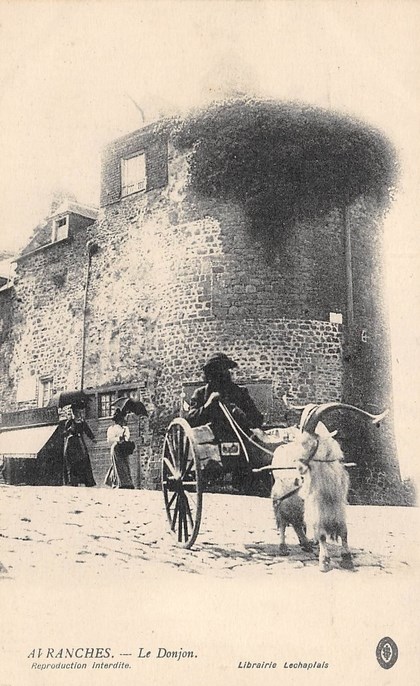 Avranches - Le Donjon  - Manche (50) - Normandie