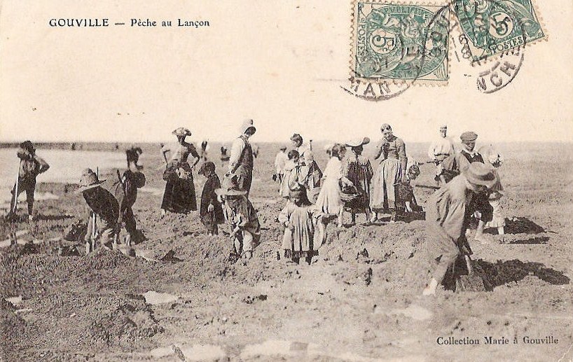 Gouville - Pêche au Lançon  - Manche (50) - Normandie