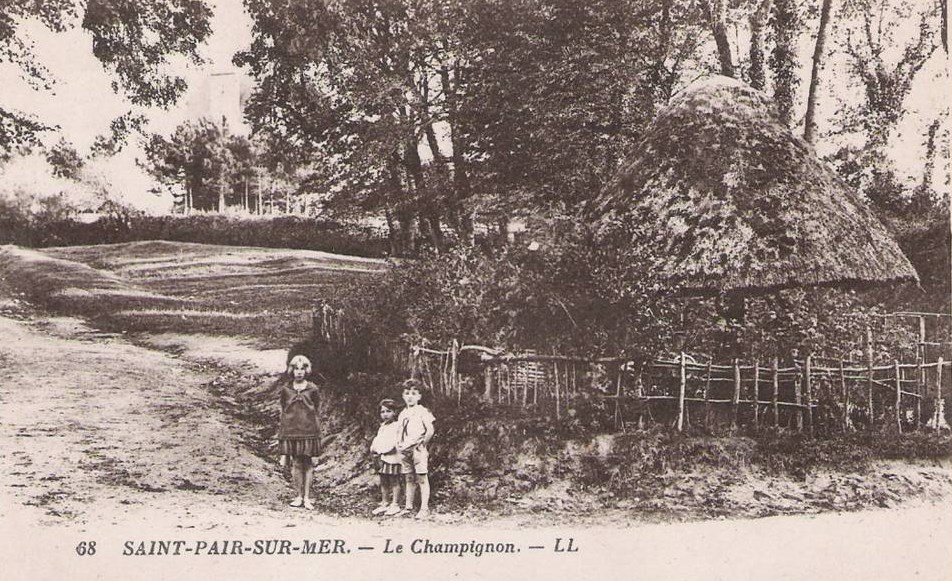 Saint-Pair-sur-Mer - Le Champignon  - Manche (50) - Normandie