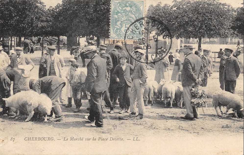 Cherbourg - Le Marché sur la Place DIVETTE - Manche (50) - Normandie