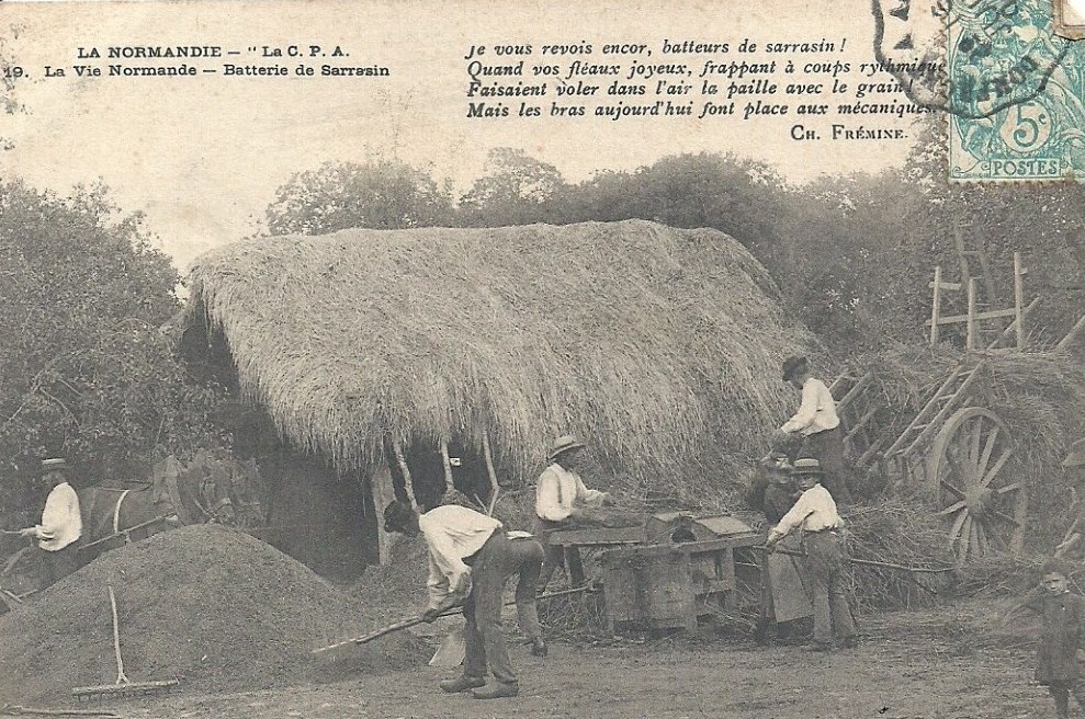 Domfront - Batterie de Sarrasin - 61 - Orne