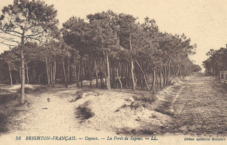 CAYEUX-SUR-MER : Brighton-Fran�ais - La For�t de Sapins