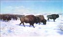  Troupeau de bisons dans un paysage de neige 