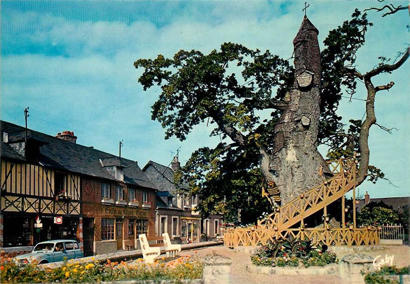 allouville-bellefosse-chene