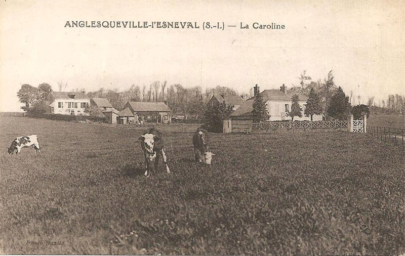 anglesqueville-esneval-caroline