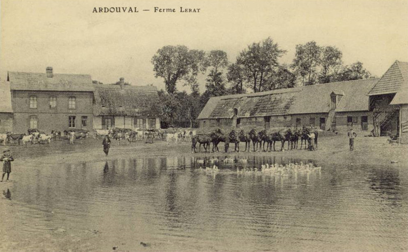 ardouval-ferme-lerat