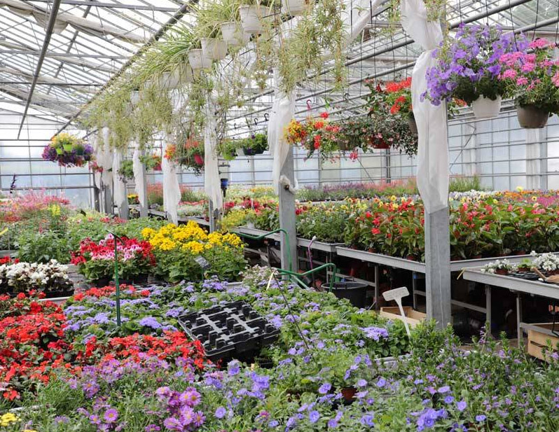 Les Jardins d'Avremesnil