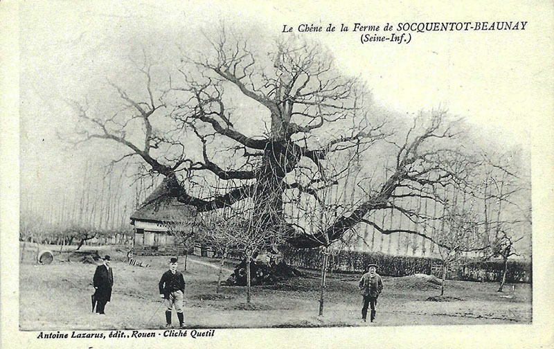 beauval-en-caux-ferme