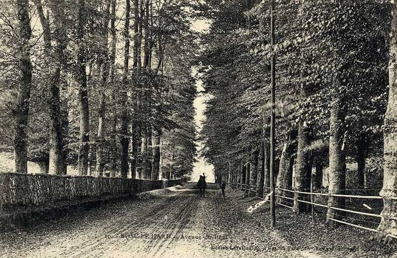 bosc-le-hard-avenue-real