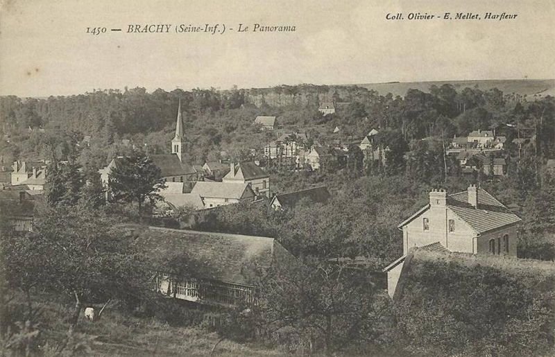 brachy-panorama