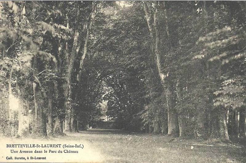 Une Avenue dans le Parc du Chteau