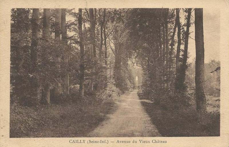 cailly-avenue-chateau