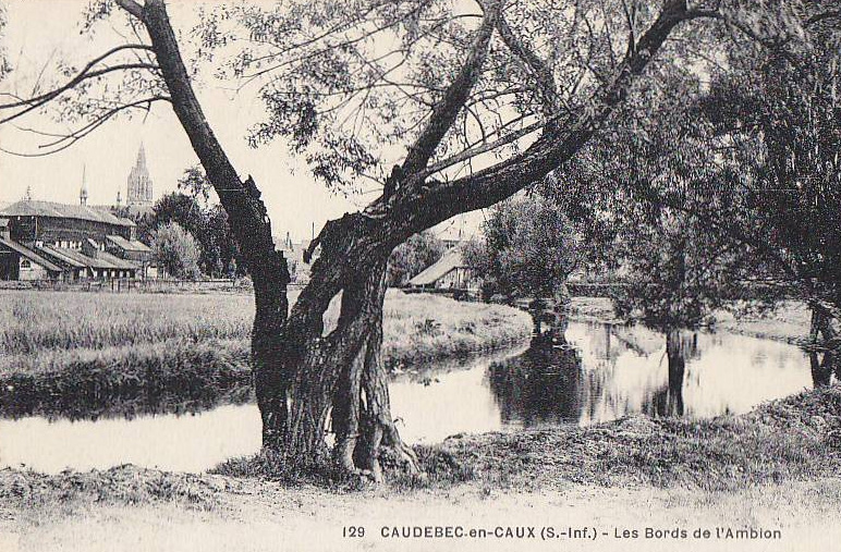 caudebec-en-caux-amblon