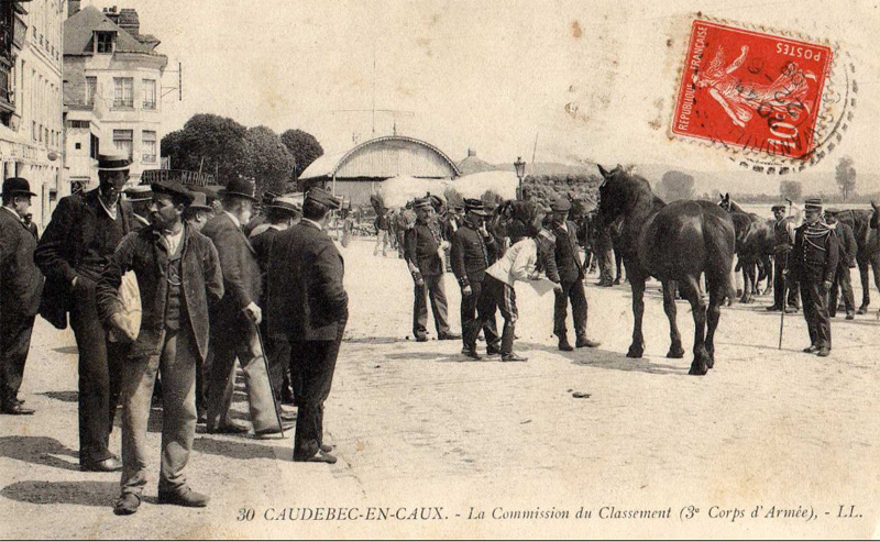 caudebec-en-caux-chevaux