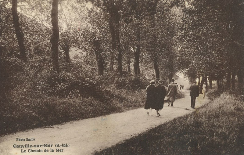 cauville-sur-mer-chemin-mer
