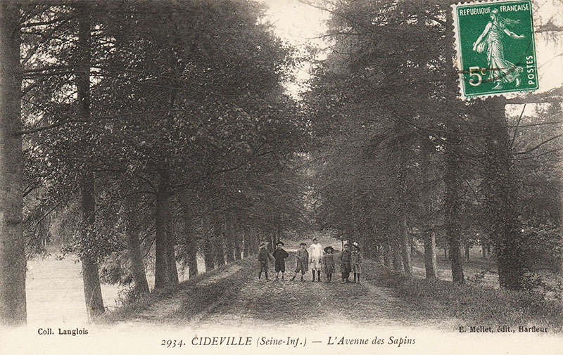 cideville-avenue-sapins