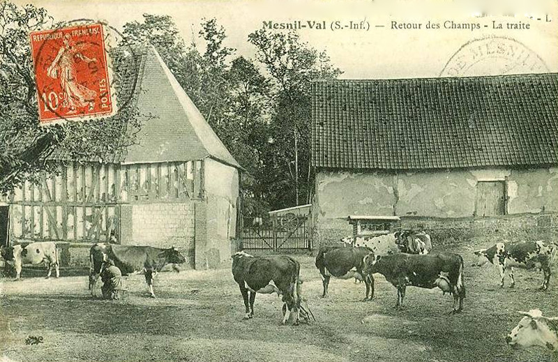 Retour des Champs - La Traite